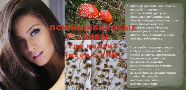 бутират Алексеевка